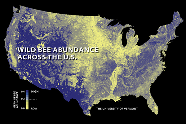 bee_map