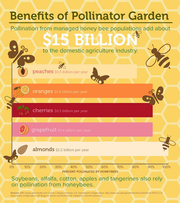 ONG pollinator conservation