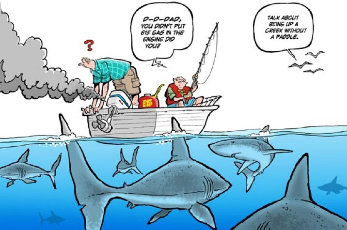 creek_no_paddle_cartoon