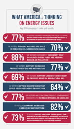 EnergyWorks4America polling