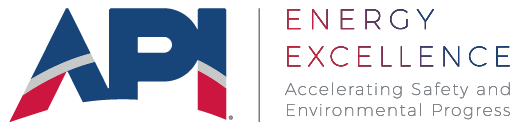 Logo API Energy Excellence